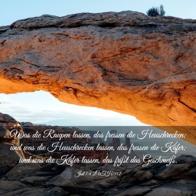 Picture 03 - Joel 1:4 LUTH1912 - Was die Raupen lassen, das fressen die - Bible Verse Picture