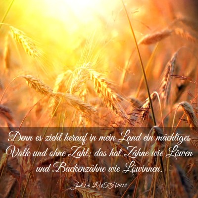 Picture 03 - Joel 1:6 LUTH1912 - Denn es zieht herauf in mein Land ein mächtiges - Bible Verse Picture