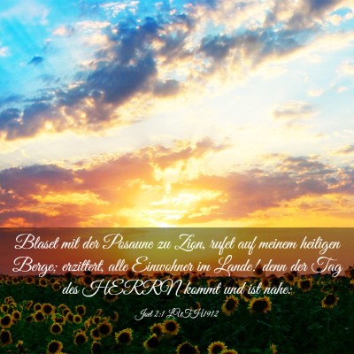 Picture 03 - Joel 2:1 LUTH1912 - Blaset mit der Posaune zu Zion, rufet auf meinem - Bible Verse Picture