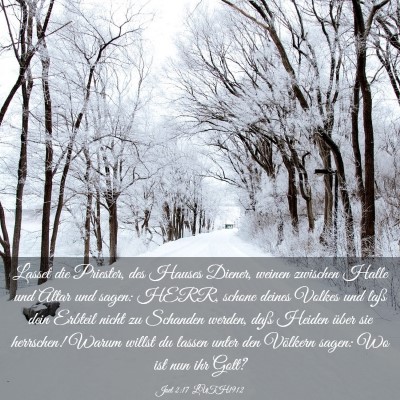 Picture 03 - Joel 2:17 LUTH1912 - Lasset die Priester, des Hauses Diener, weinen - Bible Verse Picture