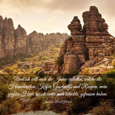 Picture 03 - Joel 2:25 LUTH1912 - Und ich will euch die Jahre erstatten, welche die - Bible Verse Picture