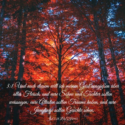 Picture 03 - Joel 2:28 LUTH1912 - 3:1 Und nach diesem will ich meinen Geist - Bible Verse Picture