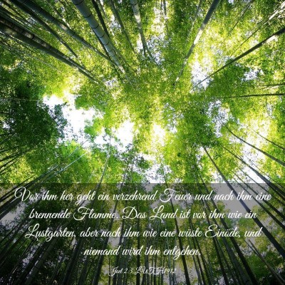 Picture 03 - Joel 2:3 LUTH1912 - Vor ihm her geht ein verzehrend Feuer und nach - Bible Verse Picture