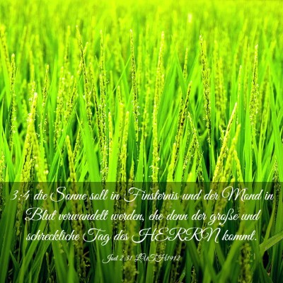 Picture 03 - Joel 2:31 LUTH1912 - 3:4 die Sonne soll in Finsternis und der Mond in - Bible Verse Picture