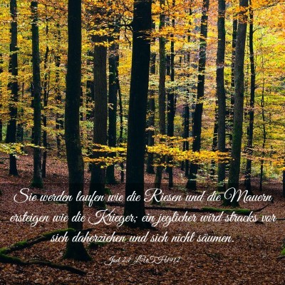 Picture 03 - Joel 2:7 LUTH1912 - Sie werden laufen wie die Riesen und die Mauern - Bible Verse Picture