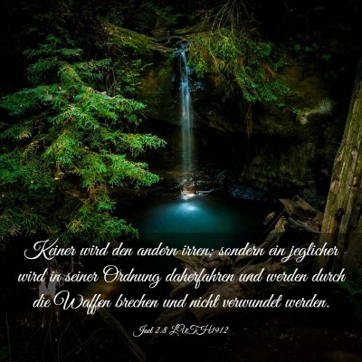 Picture 03 - Joel 2:8 LUTH1912 - Keiner wird den andern irren; sondern ein - Bible Verse Picture