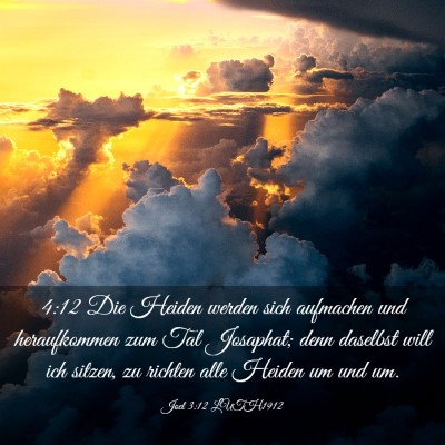 Picture 03 - Joel 3:12 LUTH1912 - 4:12 Die Heiden werden sich aufmachen und - Bible Verse Picture
