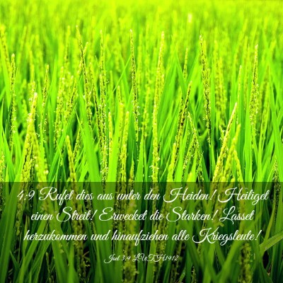 Picture 03 - Joel 3:9 LUTH1912 - 4:9 Rufet dies aus unter den Heiden! Heiliget - Bible Verse Picture