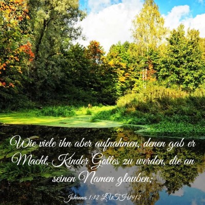 Picture 03 - Johannes 1:12 LUTH1912 - Wie viele ihn aber aufnahmen, denen gab er Macht, - Bible Verse Picture