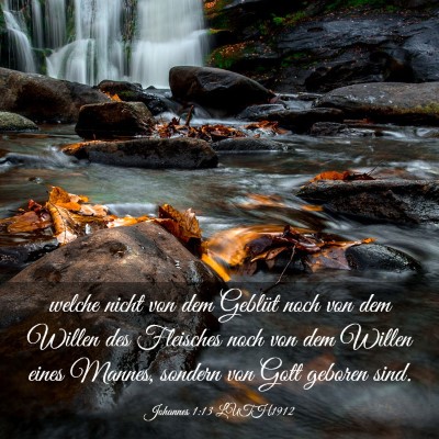 Picture 03 - Johannes 1:13 LUTH1912 - welche nicht von dem Geblüt noch von dem Willen - Bible Verse Picture