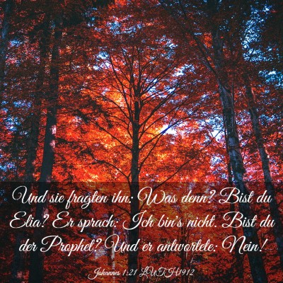 Picture 03 - Johannes 1:21 LUTH1912 - Und sie fragten ihn: Was denn? Bist du Elia? Er - Bible Verse Picture