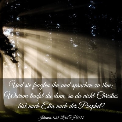 Picture 03 - Johannes 1:25 LUTH1912 - Und sie fragten ihn und sprachen zu ihm: Warum - Bible Verse Picture