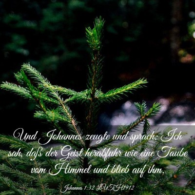 Picture 03 - Johannes 1:32 LUTH1912 - Und Johannes zeugte und sprach: Ich sah, daß der - Bible Verse Picture