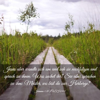 Picture 03 - Johannes 1:38 LUTH1912 - Jesus aber wandte sich um und sah sie nachfolgen - Bible Verse Picture