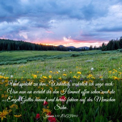 Picture 03 - Johannes 1:51 LUTH1912 - Und spricht zu ihm: Wahrlich, wahrlich ich sage - Bible Verse Picture