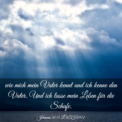 Picture 03 - Johannes 10:15 LUTH1912 - wie mich mein Vater kennt und ich kenne den - Bible Verse Picture