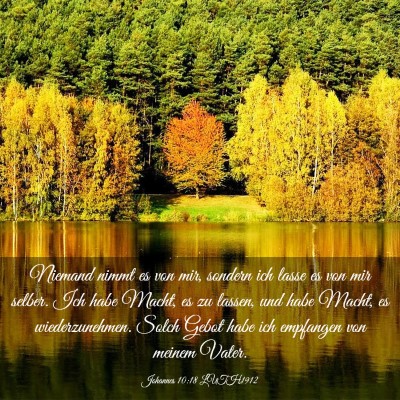 Picture 03 - Johannes 10:18 LUTH1912 - Niemand nimmt es von mir, sondern ich lasse es - Bible Verse Picture