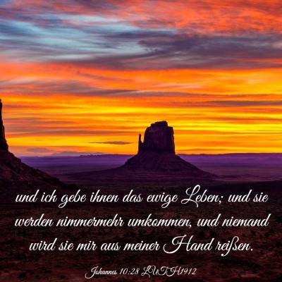 Picture 03 - Johannes 10:28 LUTH1912 - und ich gebe ihnen das ewige Leben; und sie - Bible Verse Picture