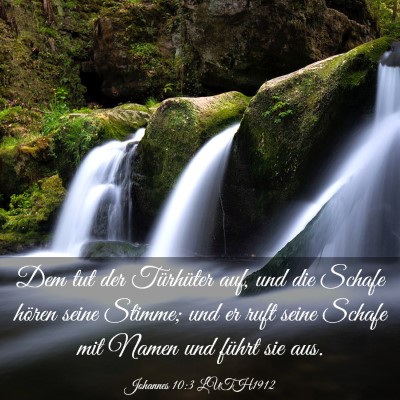 Picture 03 - Johannes 10:3 LUTH1912 - Dem tut der Türhüter auf, und die Schafe hören - Bible Verse Picture