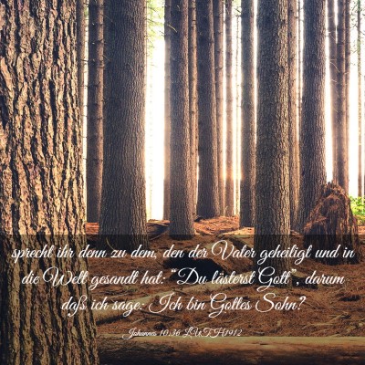 Picture 03 - Johannes 10:36 LUTH1912 - sprecht ihr denn zu dem, den der Vater geheiligt - Bible Verse Picture