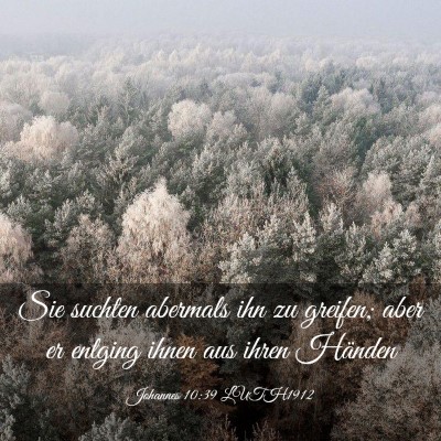 Picture 03 - Johannes 10:39 LUTH1912 - Sie suchten abermals ihn zu greifen; aber er - Bible Verse Picture