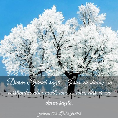 Picture 03 - Johannes 10:6 LUTH1912 - Diesen Spruch sagte Jesus zu ihnen; sie - Bible Verse Picture