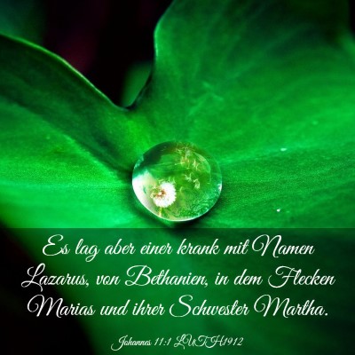 Picture 03 - Johannes 11:1 LUTH1912 - Es lag aber einer krank mit Namen Lazarus, von - Bible Verse Picture