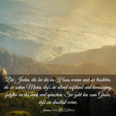 Picture 03 - Johannes 11:31 LUTH1912 - Die Juden, die bei ihr im Haus waren und sie - Bible Verse Picture