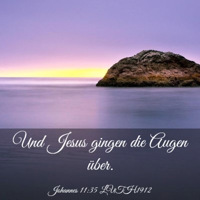 Picture 03 - Johannes 11:35 LUTH1912 - Und Jesus gingen die Augen - Bible Verse Picture