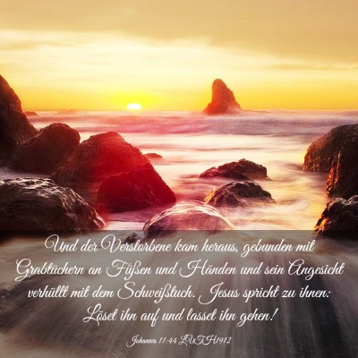 Picture 03 - Johannes 11:44 LUTH1912 - Und der Verstorbene kam heraus, gebunden mit - Bible Verse Picture