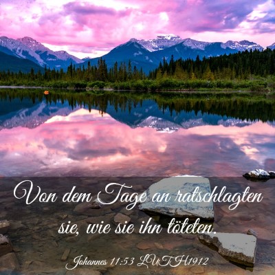 Picture 03 - Johannes 11:53 LUTH1912 - Von dem Tage an ratschlagten sie, wie sie ihn - Bible Verse Picture