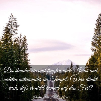 Picture 03 - Johannes 11:56 LUTH1912 - Da standen sie und fragten nach Jesus und redeten - Bible Verse Picture