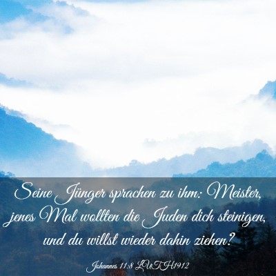 Picture 03 - Johannes 11:8 LUTH1912 - Seine Jünger sprachen zu ihm: Meister, jenes Mal - Bible Verse Picture