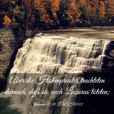 Picture 03 - Johannes 12:10 LUTH1912 - Aber die Hohenpriester trachteten darnach, daß - Bible Verse Picture