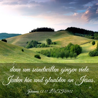 Picture 03 - Johannes 12:11 LUTH1912 - denn um seinetwillen gingen viele Juden hin und - Bible Verse Picture