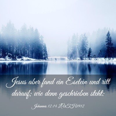 Picture 03 - Johannes 12:14 LUTH1912 - Jesus aber fand ein Eselein und ritt darauf; wie - Bible Verse Picture