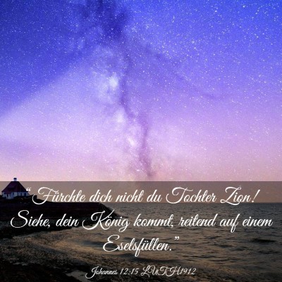 Picture 03 - Johannes 12:15 LUTH1912 - “Fürchte dich nicht du Tochter Zion! Siehe, - Bible Verse Picture