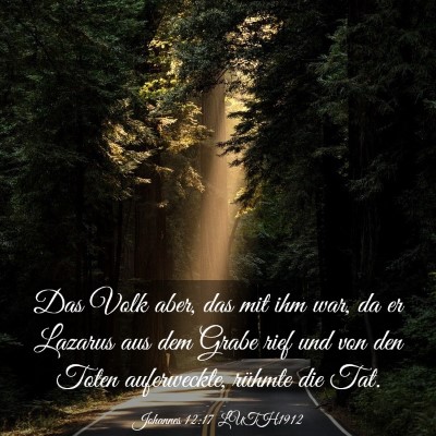 Picture 03 - Johannes 12:17 LUTH1912 - Das Volk aber, das mit ihm war, da er Lazarus aus - Bible Verse Picture