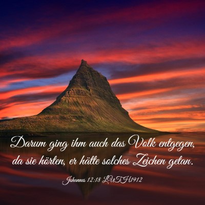 Picture 03 - Johannes 12:18 LUTH1912 - Darum ging ihm auch das Volk entgegen, da sie - Bible Verse Picture