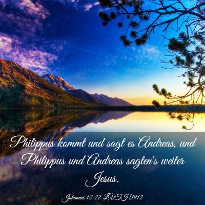 Picture 03 - Johannes 12:22 LUTH1912 - Philippus kommt und sagt es Andreas, und - Bible Verse Picture