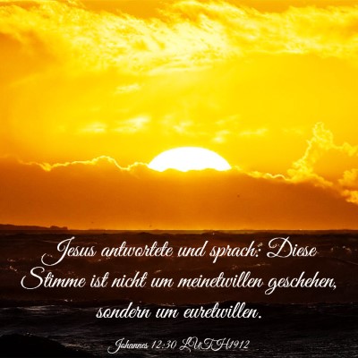 Picture 03 - Johannes 12:30 LUTH1912 - Jesus antwortete und sprach: Diese Stimme ist - Bible Verse Picture