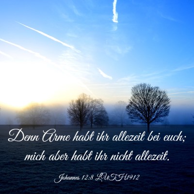 Picture 03 - Johannes 12:8 LUTH1912 - Denn Arme habt ihr allezeit bei euch; mich aber - Bible Verse Picture