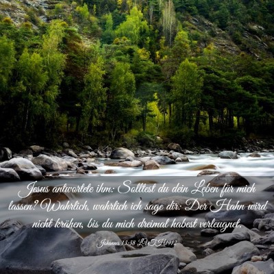 Picture 03 - Johannes 13:38 LUTH1912 - Jesus antwortete ihm: Solltest du dein Leben für - Bible Verse Picture