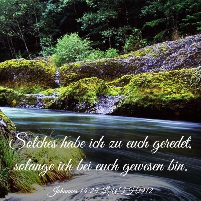 Picture 03 - Johannes 14:25 LUTH1912 - Solches habe ich zu euch geredet, solange ich bei - Bible Verse Picture