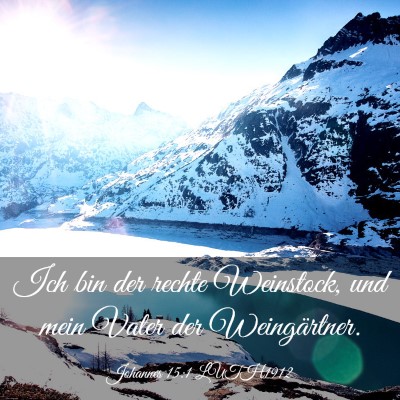 Picture 03 - Johannes 15:1 LUTH1912 - Ich bin der rechte Weinstock, und mein Vater der - Bible Verse Picture