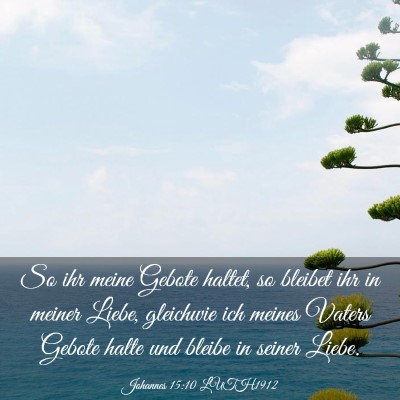 Picture 03 - Johannes 15:10 LUTH1912 - So ihr meine Gebote haltet, so bleibet ihr in - Bible Verse Picture