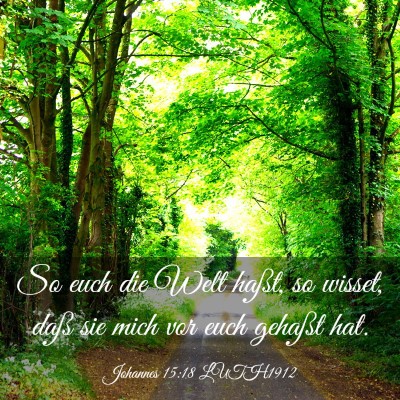 Picture 03 - Johannes 15:18 LUTH1912 - So euch die Welt haßt, so wisset, daß sie mich - Bible Verse Picture