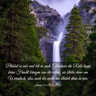Picture 03 - Johannes 15:4 LUTH1912 - Bleibet in mir und ich in euch. Gleichwie die - Bible Verse Picture