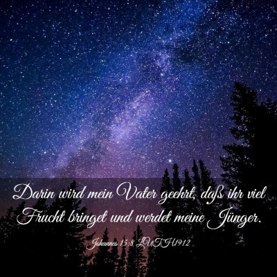 Picture 03 - Johannes 15:8 LUTH1912 - Darin wird mein Vater geehrt, daß ihr viel - Bible Verse Picture