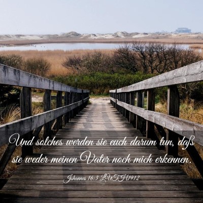 Picture 03 - Johannes 16:3 LUTH1912 - Und solches werden sie euch darum tun, daß sie - Bible Verse Picture